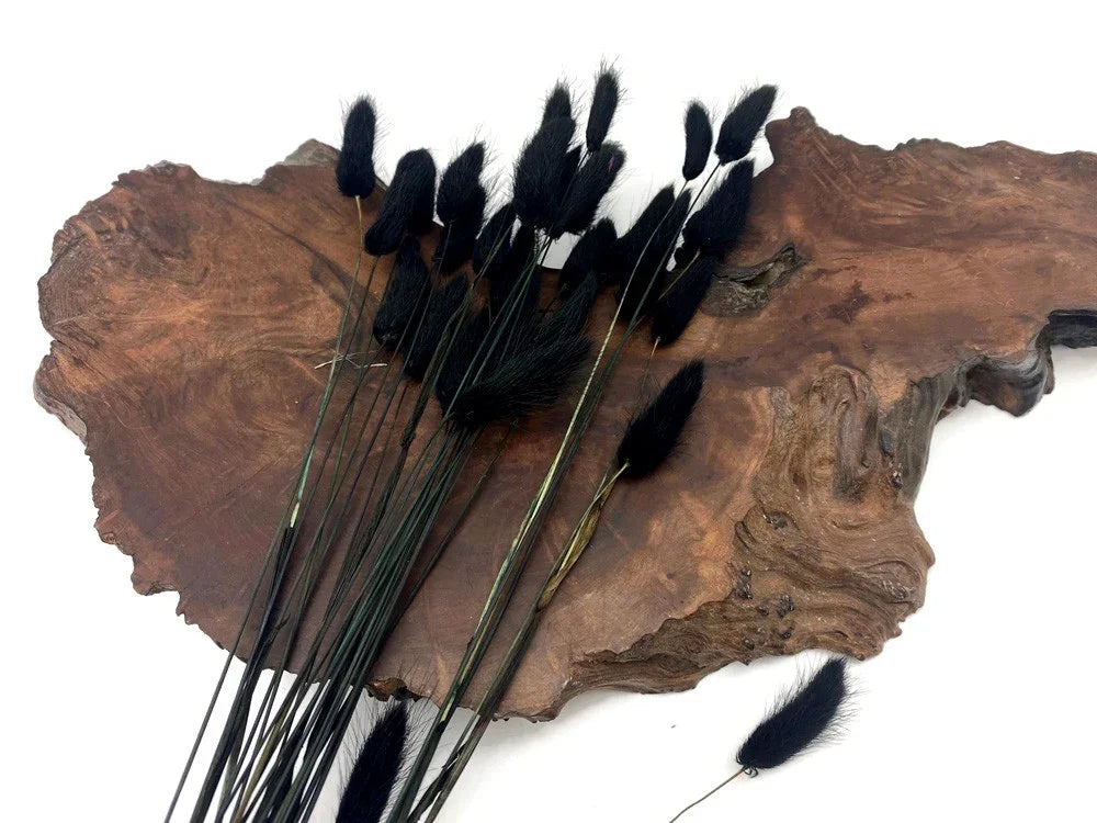 Dried black bunny tail grass stems on a rustic wood slice decor.