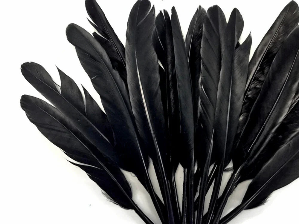 A collection of long, sleek black feathers for DIY crafts and fashion accessories.
