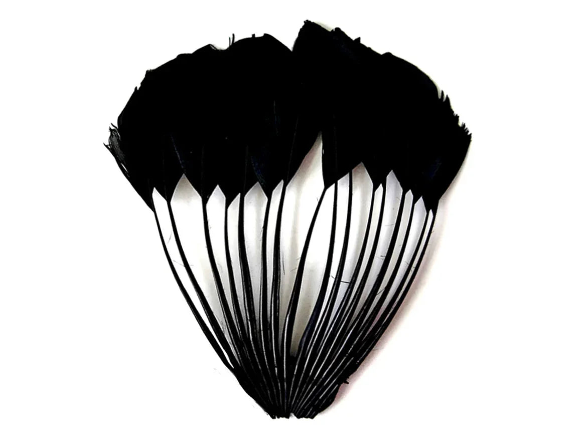 A fan arrangement of elegant black feathers for DIY crafts and fashion accessories.