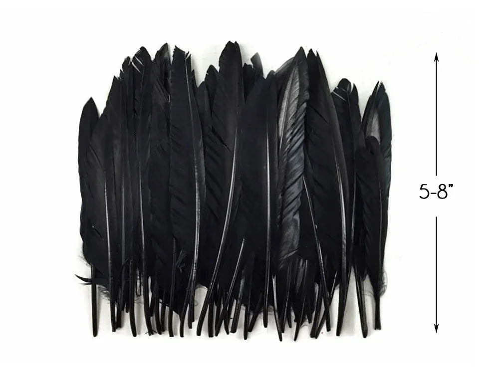 1/4 lbs. - Black Duck Pointer Primary Wing Wholesale Feathers (Bulk)