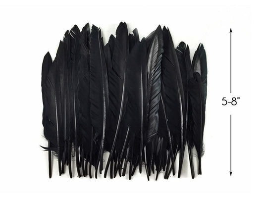 1 Pack - Black Duck Primary Wing Pointer Feathers 0.50 Oz.