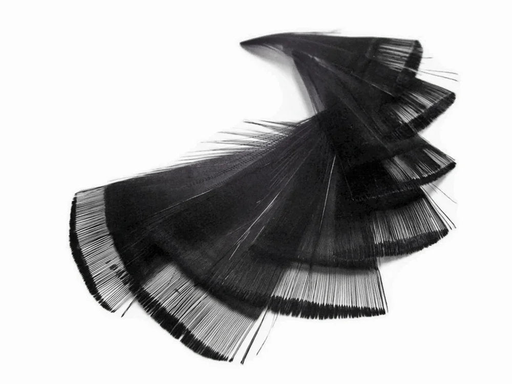 1 Dozen - Black Dyed Golden Pheasant Tippet Neck Plumage Feather