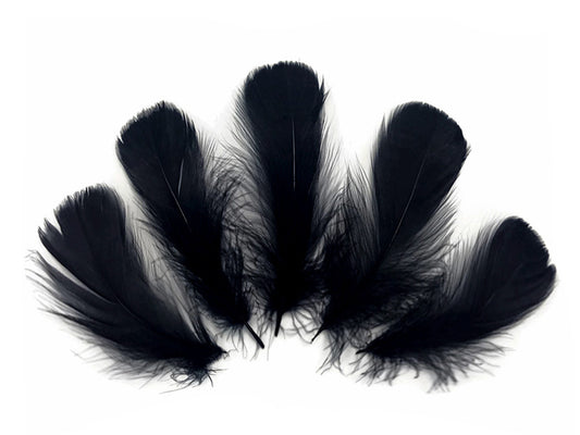 1/4 Lb - 2-3" Black Goose Coquille Loose Wholesale Feathers (Bulk)