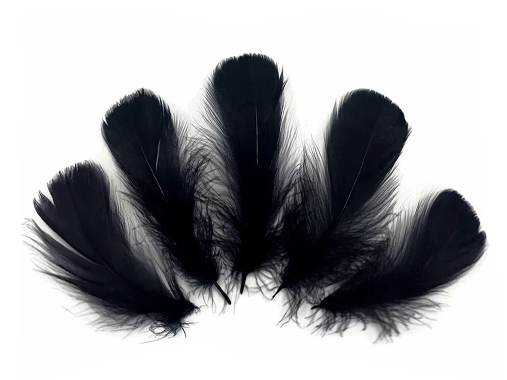 Five soft black feathers arranged in a fan shape on a white background.