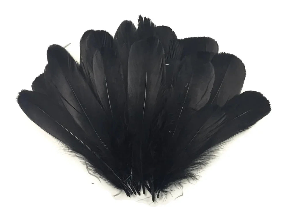 A fan of soft black feathers for DIY crafts, fashion, and costume decor.