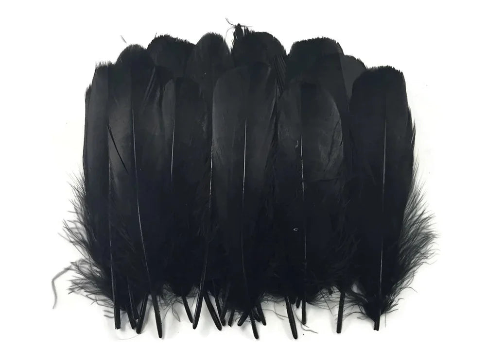Collection of natural black feathers for DIY crafts and fashion accessories.