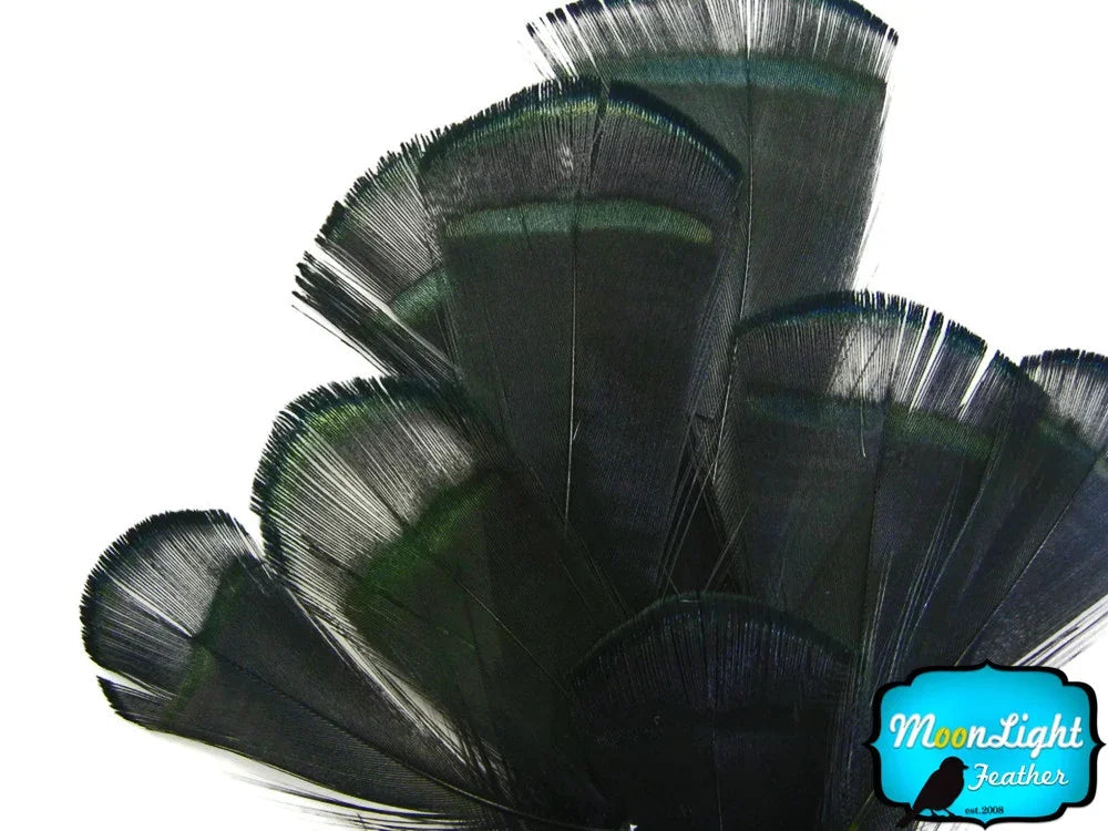 Iridescent dark green peacock feathers for crafts and DIY fashion decor.