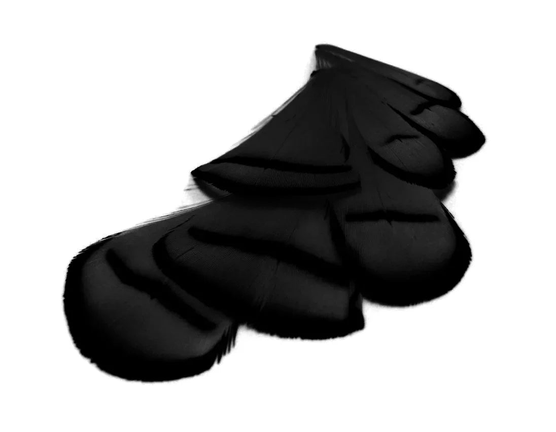 Elegant black feathers for DIY crafts, fashion accessories, and creative décor.