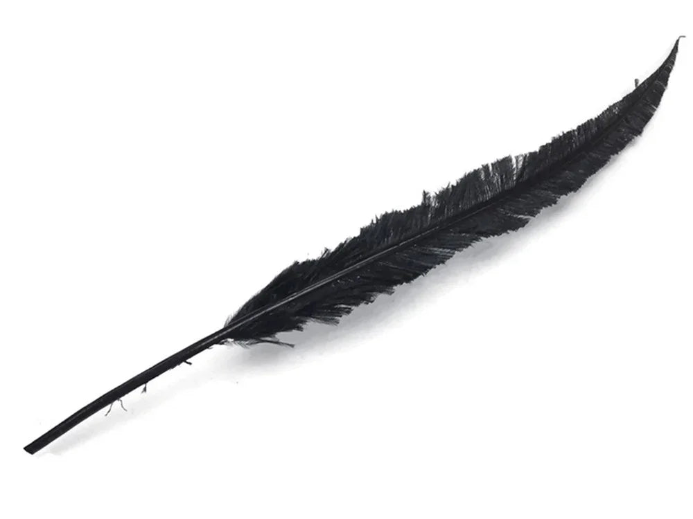 Single long black feather for DIY crafts and fashion accessories on a white background.