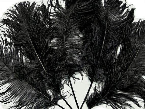 10 Pieces - 12-16" Black Dyed Ostrich Tail Fancy Feathers