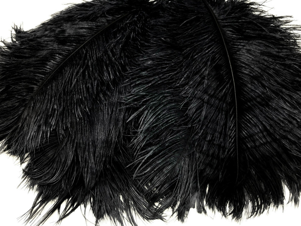 10 Pieces - 12-16" Black Dyed Ostrich Tail Fancy Feathers