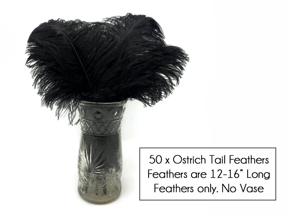 50 pieces of long black ostrich tail feathers for crafts and decor in a glass vase.