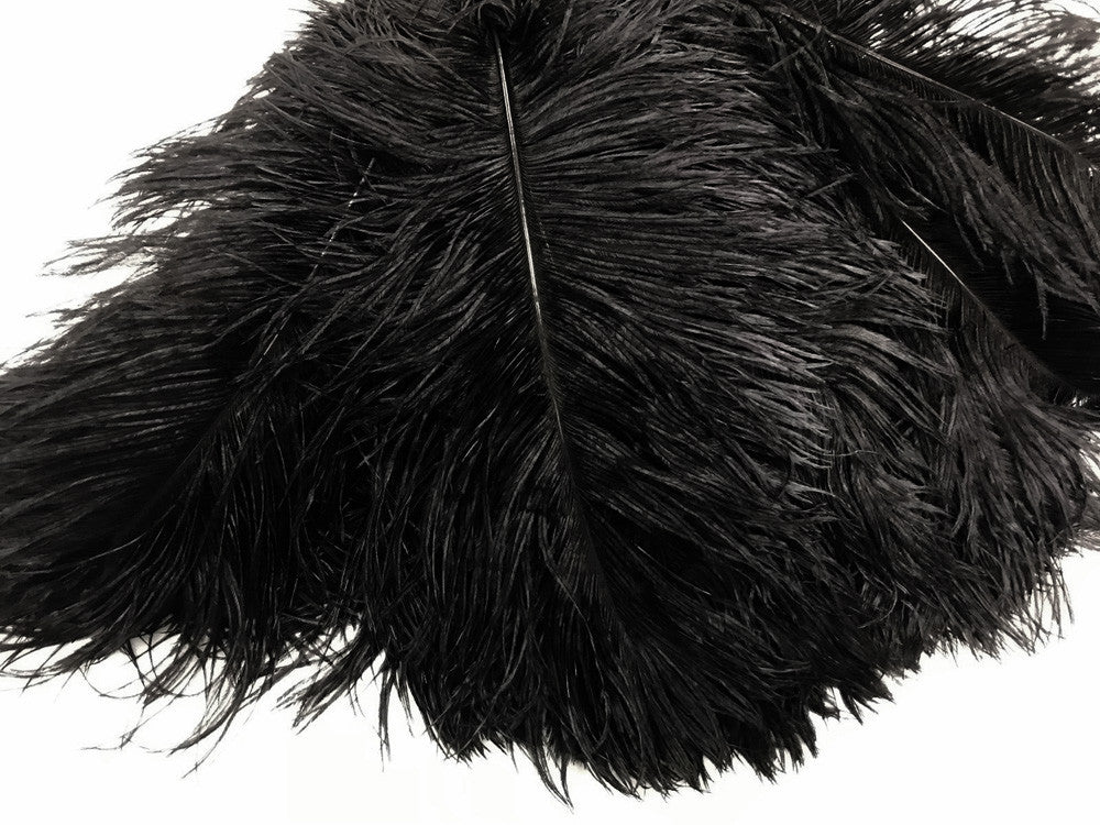 10 Pieces - 12-16" Black Dyed Ostrich Tail Fancy Feathers