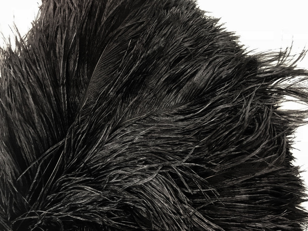 10 Pieces - 12-16" Black Dyed Ostrich Tail Fancy Feathers
