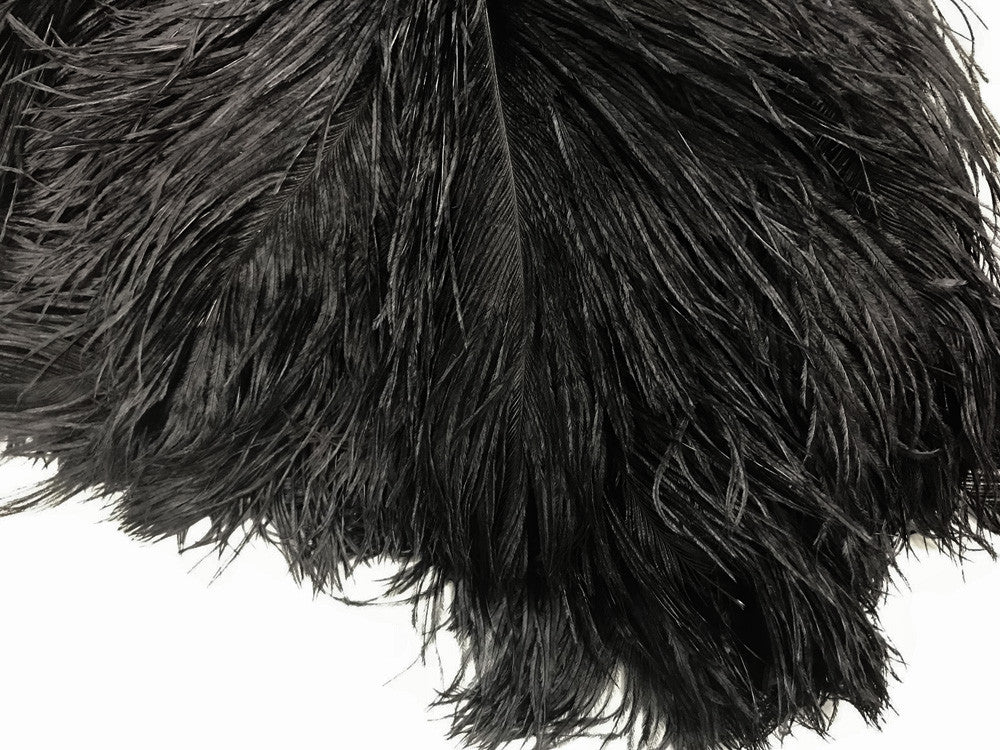 10 Pieces - 12-16" Black Dyed Ostrich Tail Fancy Feathers