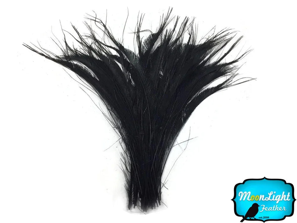 Elegant black ostrich feathers for fashion and DIY crafts on a white background.