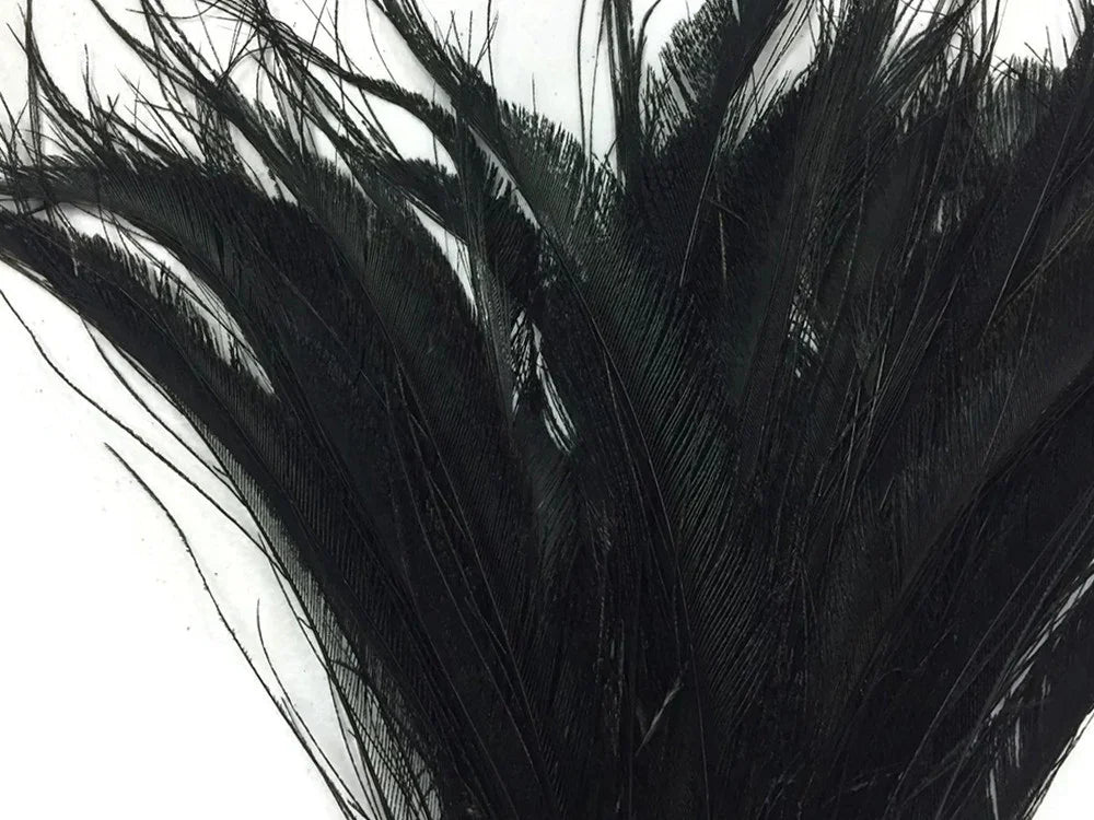 Elegant black feathers for fashion, crafts, and DIY décor projects.