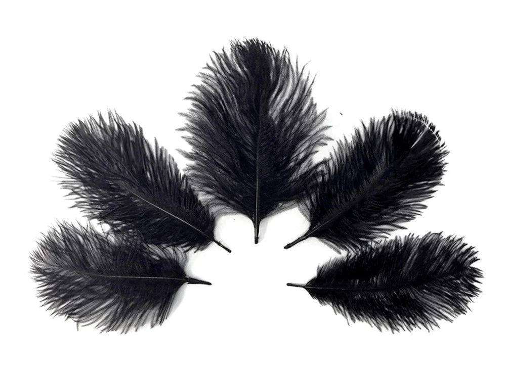 Five large black ostrich feathers arranged in a fan shape on a white background.