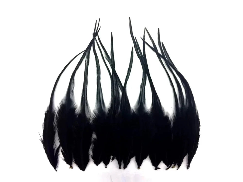 Set of long black feathers for DIY crafts, fashion accessories, and costume decor.