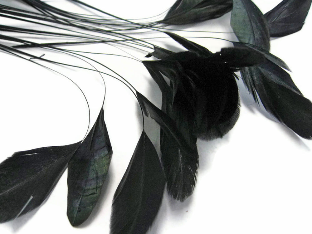 1 Yard - Black Stripped Coque Tail Feathers Wholesale Trim (Bulk)