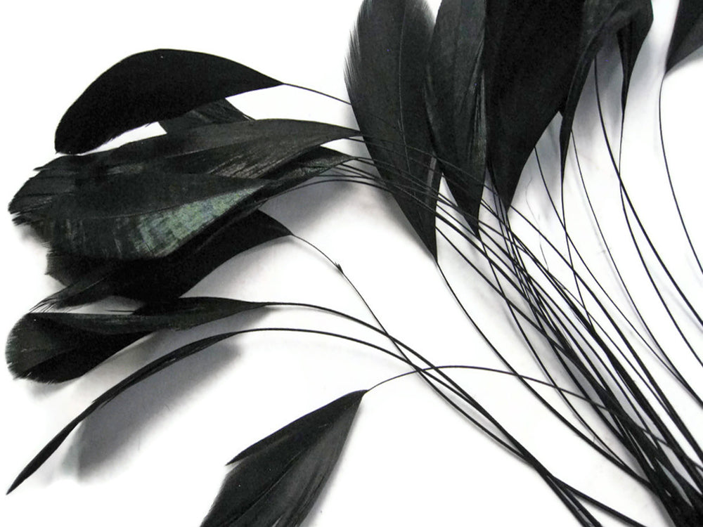 1 Yard - Black Stripped Coque Tail Feathers Wholesale Trim (Bulk)