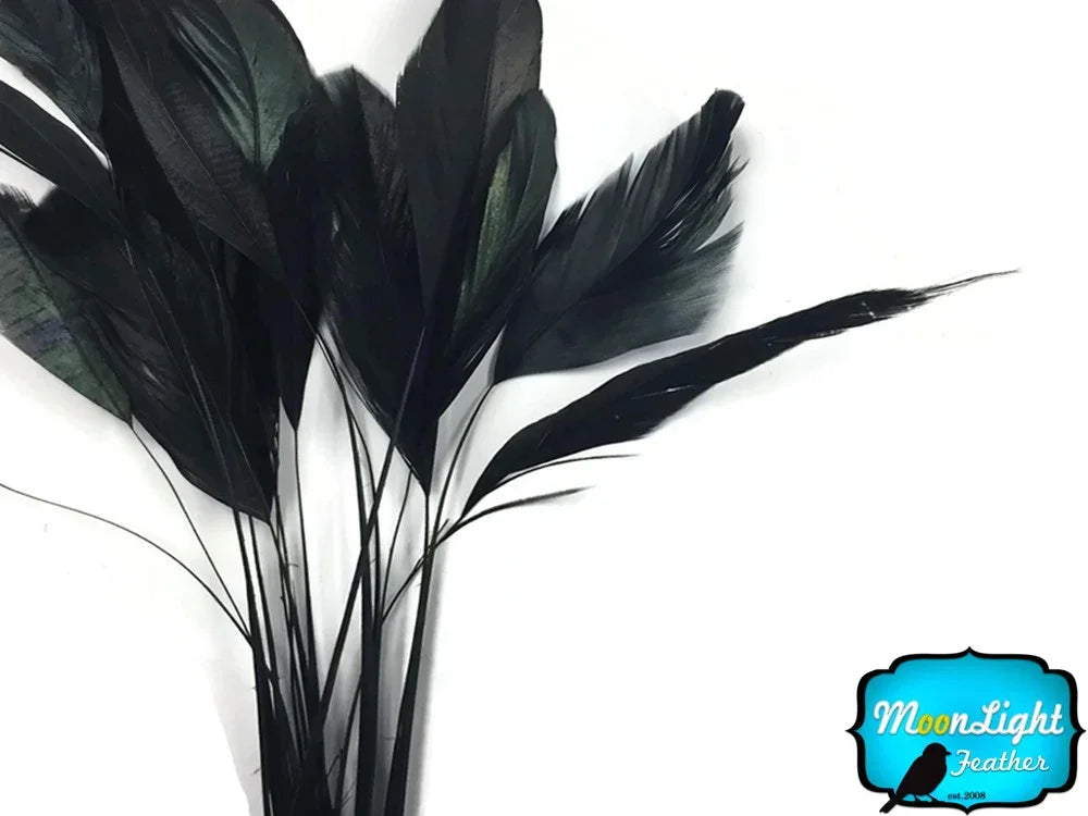 Bundle of long, iridescent black feathers for crafts and fashion DIY projects.