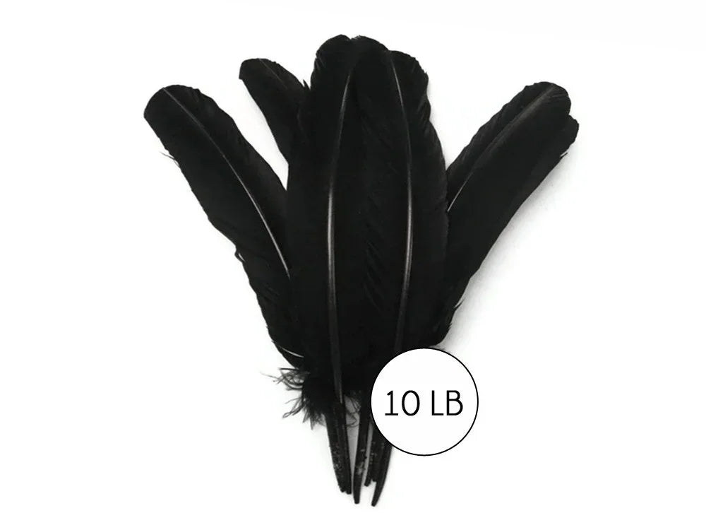 Bulk 10 lb pack of large black feathers for crafts and fashion décor