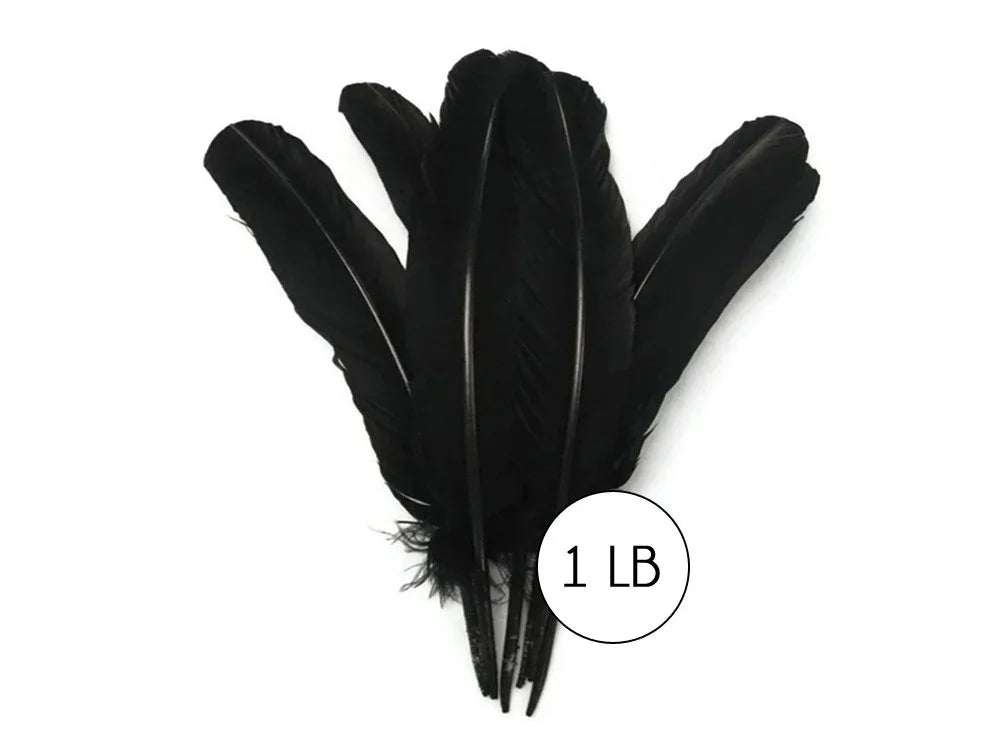 Bundle of large black feathers for DIY crafts and fashion decor, 1 lb pack.