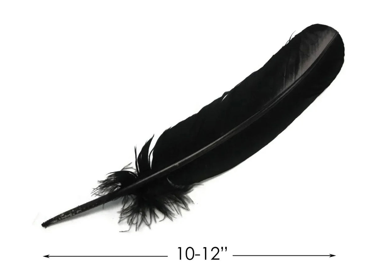 Large black feather for crafts and fashion decor, 10-12 inches long.