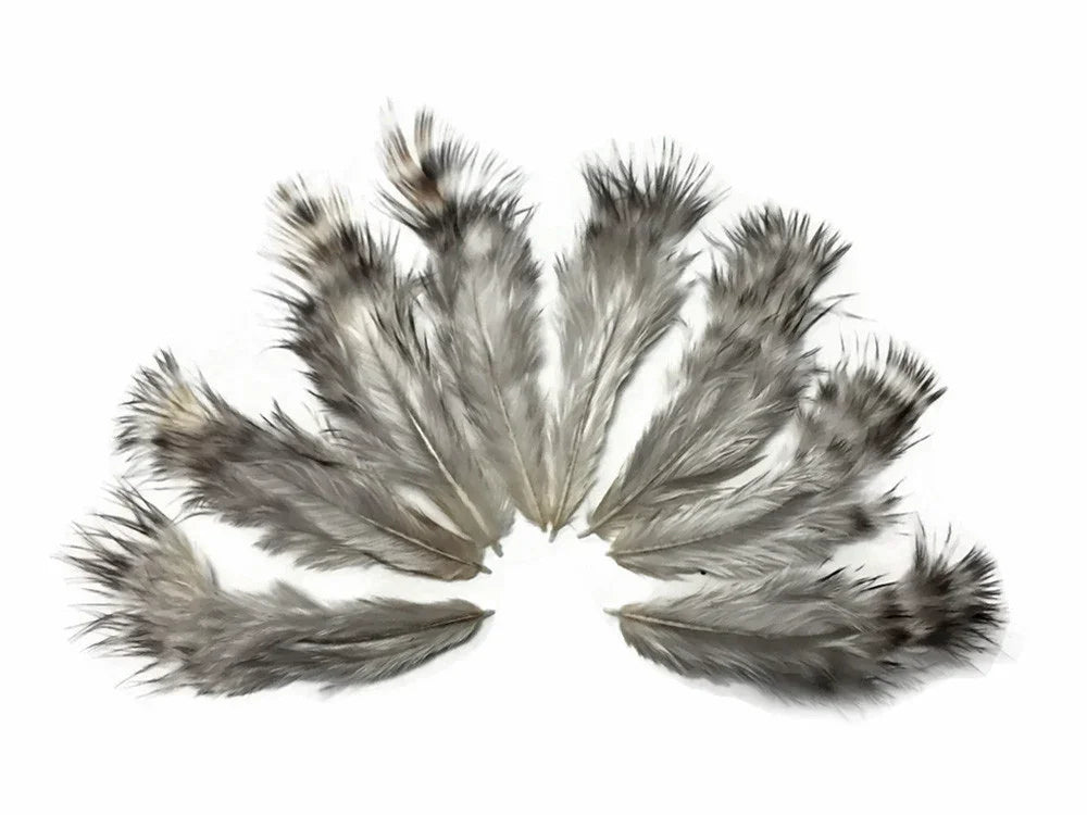 Natural grey and black speckled feathers arranged in a fan shape for DIY crafts and fashion.
