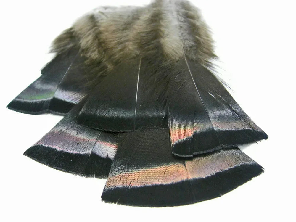 20 Pieces- Natural Black Bronze Wild Merriam Turkey Flats Plumage Feathers