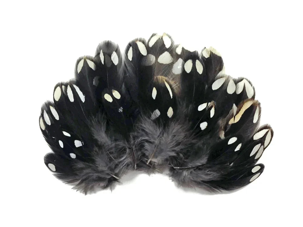 Black and white spotted feathers for DIY crafts and fashion decor