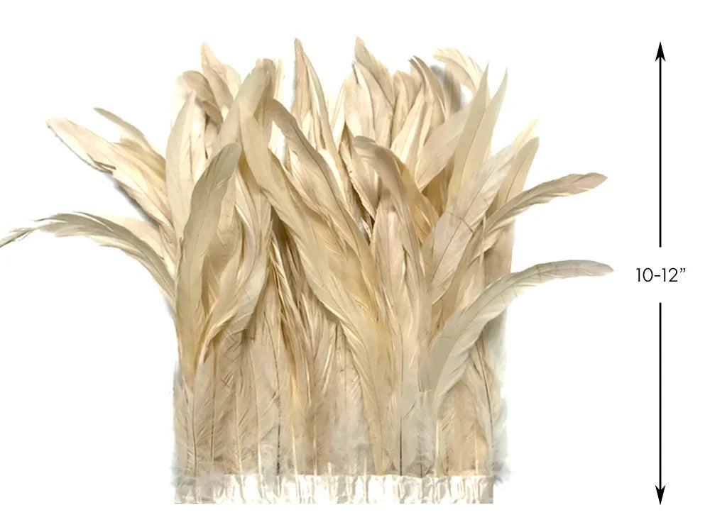 Cream colored natural feathers for DIY crafts and fashion decor, 10-12 inches long.