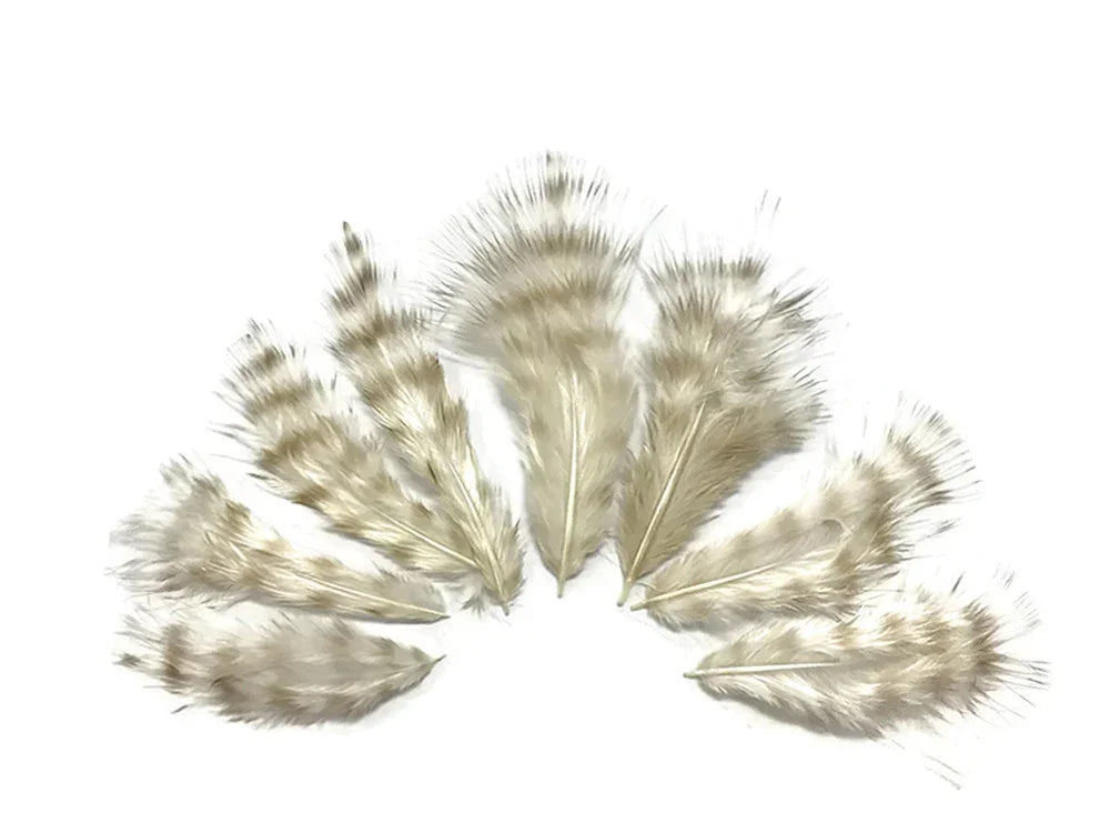 Set of soft white and beige striped decorative feathers for DIY crafts and fashion.