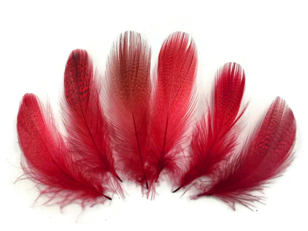 1 Pack - Red Mallard Duck Flank Feathers 0.10 Oz.
