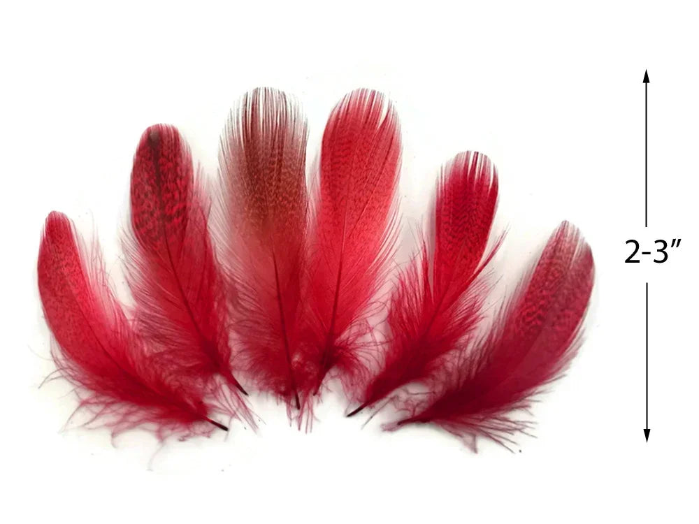 Set of vibrant red craft feathers, 2-3 inches long, for DIY fashion and decor.
