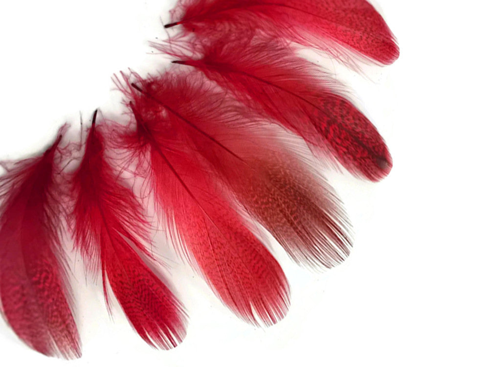 1 Pack - Red Mallard Duck Flank Feathers 0.10 Oz.