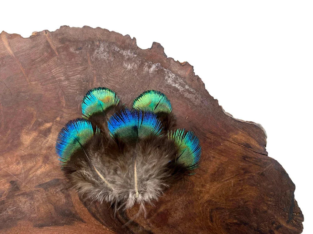 Iridescent peacock feathers with blue and green hues on a rustic wood slice.
