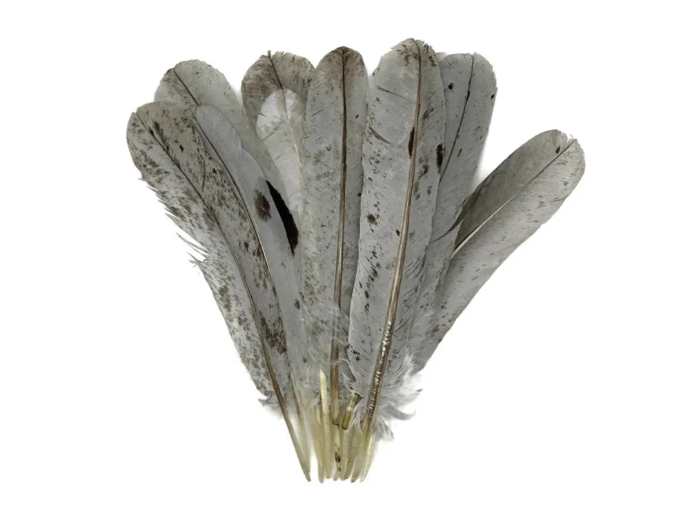 Set of grey speckled natural feathers for DIY crafts and fashion décor.