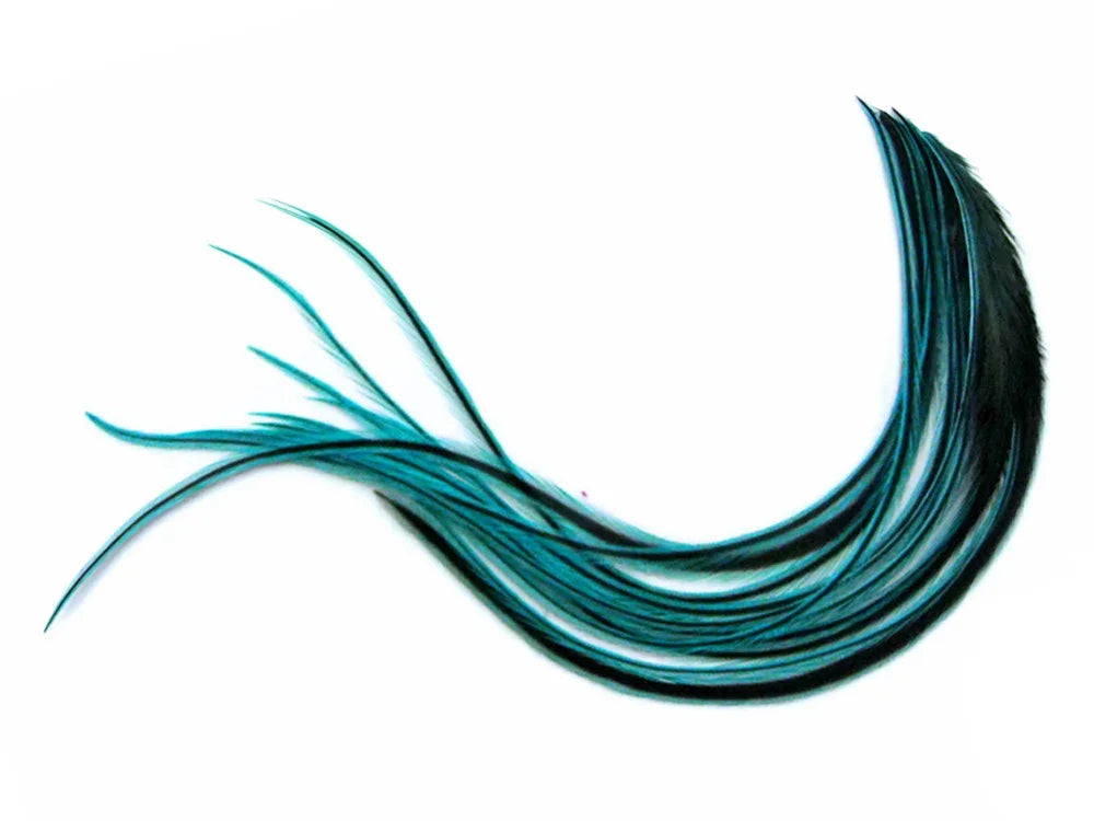 Teal and black iridescent peacock feathers for DIY crafts and fashion decor.