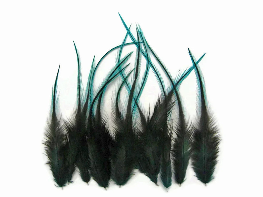 Black feathers with vibrant teal tips for DIY crafts and fashion accessories.