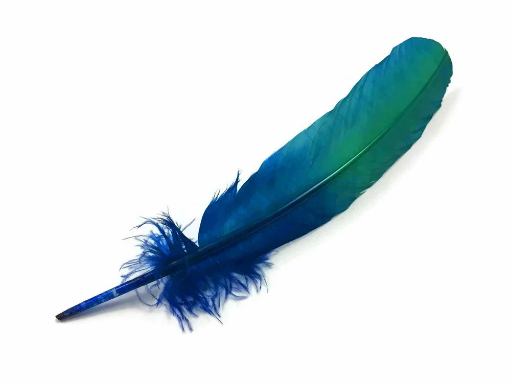 Vibrant blue and teal gradient feather for crafts and fashion decor.