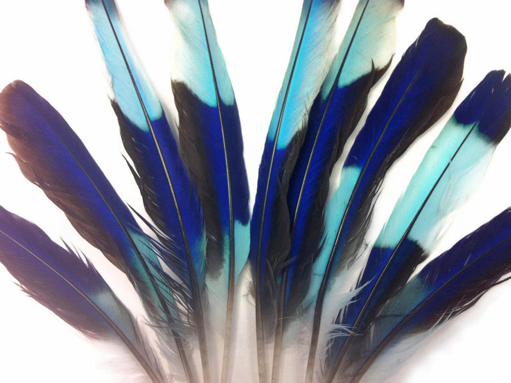 4 Pieces - Natural Turquoise Blue Indian Roller Exotic Wing Feathers