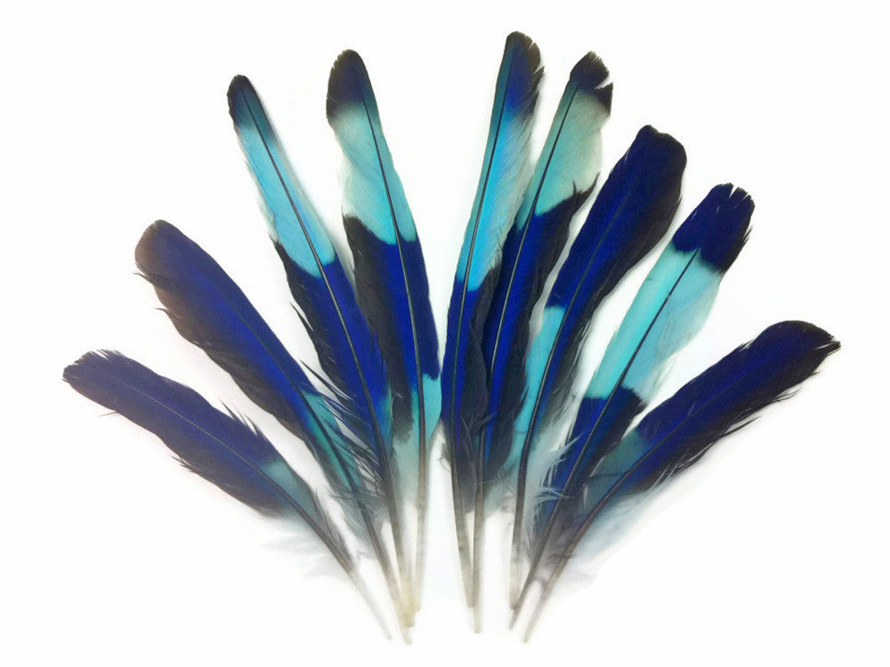 4 Pieces - Natural Turquoise Blue Indian Roller Exotic Wing Feathers