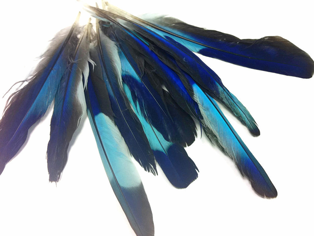 4 Pieces - Natural Turquoise Blue Indian Roller Exotic Wing Feathers