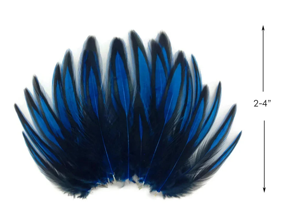 Vibrant blue and black craft feathers, 2-4 inches, for DIY fashion and decor.