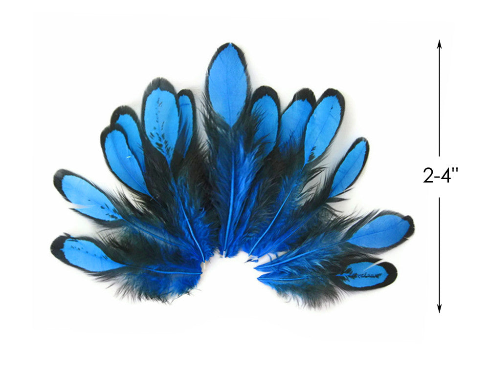 Vibrant blue and black feathers for DIY crafts and fashion accessories, 2-4 inches in size.