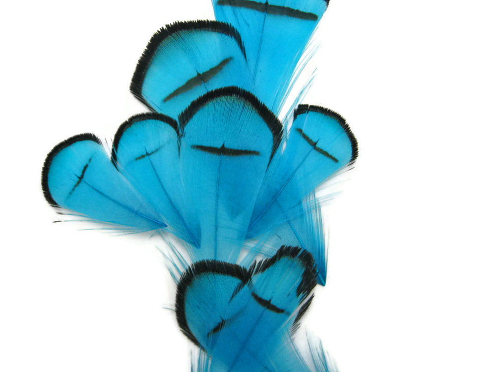 1 Dozen - Dyed Turquoise Blue Lady Amherst Pheasant Tippet Feather