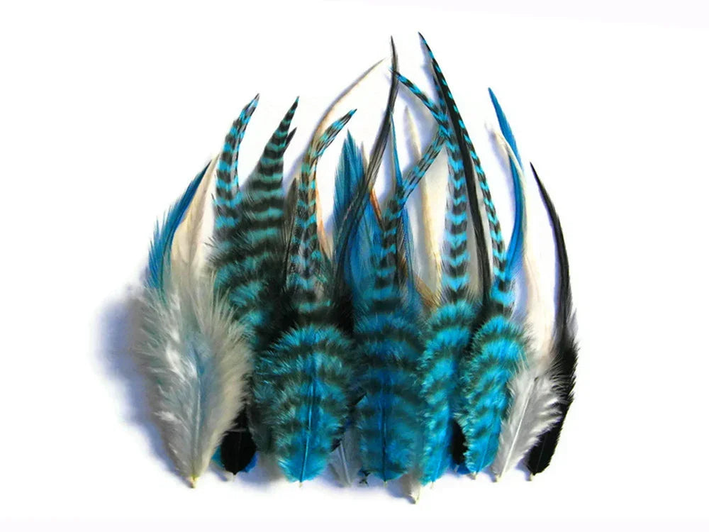 Collection of dyed blue and black striped craft feathers on a white background