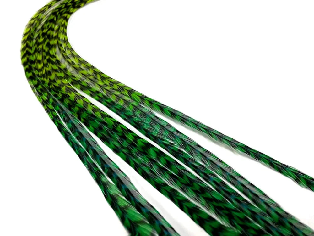 Braided green and black iridescent feathers for DIY crafts and fashion accessories.